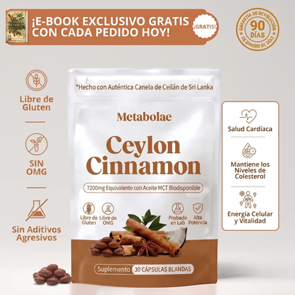 Canela de Ceilán 7200 mg equivalente con aceite MCT