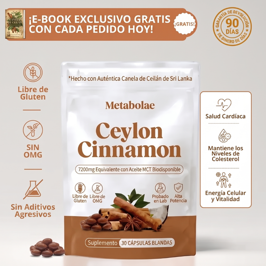 Canela de Ceilán 7200 mg equivalente con aceite MCT