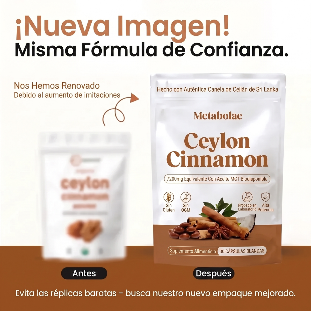Canela de Ceilán 7200 mg equivalente con aceite MCT