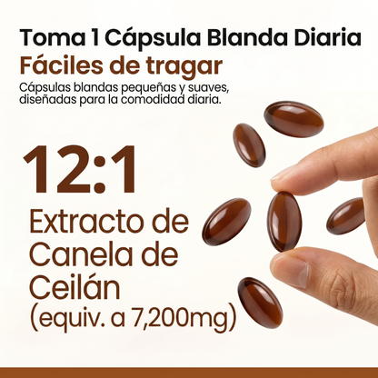 Canela de Ceilán 7200 mg equivalente con aceite MCT